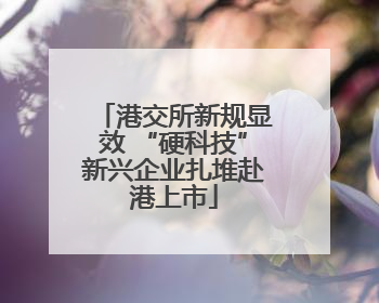 港交所新规显效 “硬科技”新兴企业扎堆赴港上市