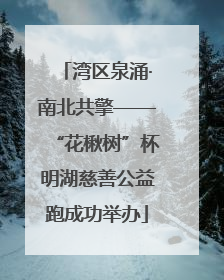 湾区泉涌·南北共擎——“花楸树”杯明湖慈善公益跑成功举办