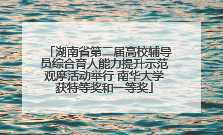 湖南省第二届高校辅导员综合育人能力提升示范观摩活动举行 南华大学获特等奖和一等奖