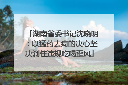 湖南省委书记沈晓明：以猛药去疴的决心坚决刹住违规吃喝歪风