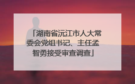 湖南省沅江市人大常委会党组书记、主任孟智勇接受审查调查