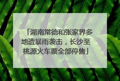 湖南常德和张家界多地遭暴雨袭击，长沙至桃源火车票全部停售