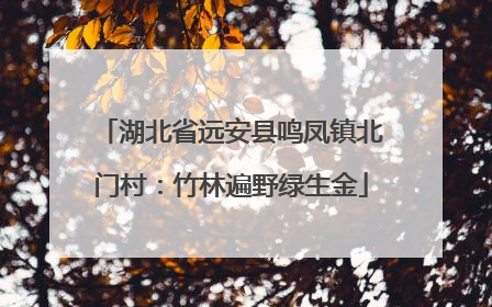 湖北省远安县鸣凤镇北门村：竹林遍野绿生金