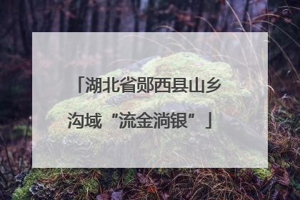 湖北省郧西县山乡沟域“流金淌银”