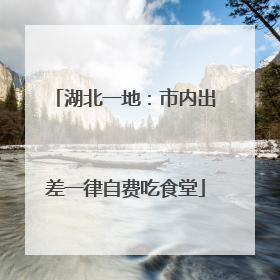 湖北一地：市内出差一律自费吃食堂