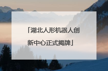 湖北人形机器人创新中心正式揭牌