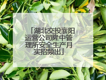 湖北交投襄阳运营公司隆中管理所安全生产月实招频出
