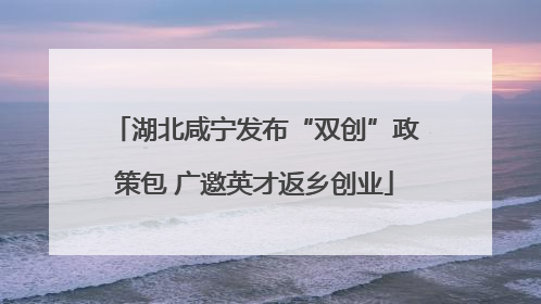 湖北咸宁发布“双创”政策包 广邀英才返乡创业