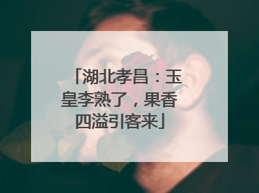 湖北孝昌：玉皇李熟了，果香四溢引客来