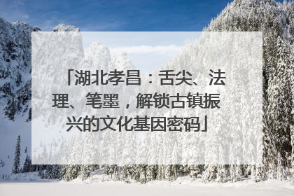 湖北孝昌：舌尖、法理、笔墨，解锁古镇振兴的文化基因密码