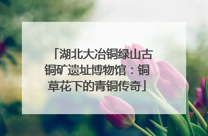 湖北大冶铜绿山古铜矿遗址博物馆：铜草花下的青铜传奇