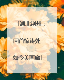 湖北荆州：回首惊涛处 如今美画廊