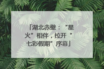 湖北赤壁：“星火”相伴，拉开“七彩假期”序幕