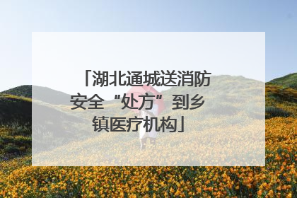 湖北通城送消防安全“处方”到乡镇医疗机构