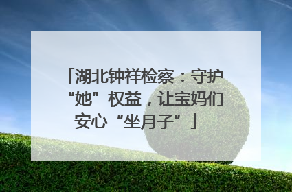 湖北钟祥检察：守护“她”权益，让宝妈们安心“坐月子”