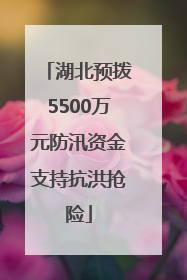 湖北预拨5500万元防汛资金支持抗洪抢险