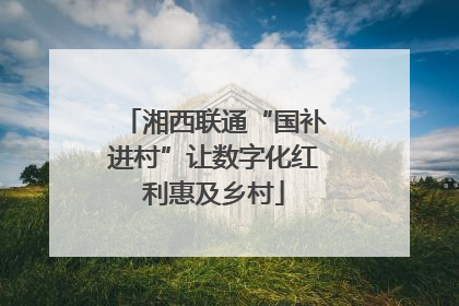 湘西联通“国补进村”让数字化红利惠及乡村
