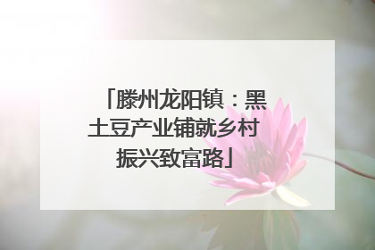 滕州龙阳镇：黑土豆产业铺就乡村振兴致富路