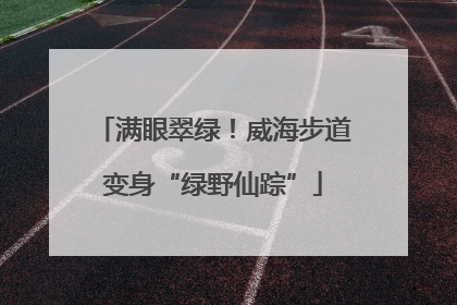 满眼翠绿！威海步道变身“绿野仙踪”
