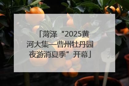 菏泽“2025黄河大集—曹州牡丹园夜游消夏季”开幕