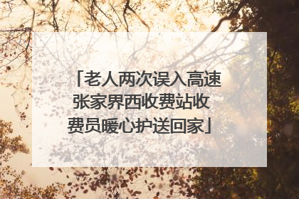 老人两次误入高速 张家界西收费站收费员暖心护送回家