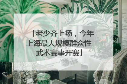 老少齐上场，今年上海最大规模群众性武术赛事开赛