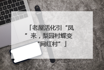 老屋活化引“凤”来，梨园村蝶变“网红村”