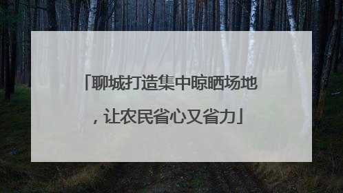 聊城打造集中晾晒场地，让农民省心又省力