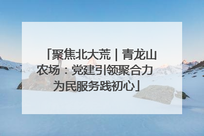 聚焦北大荒｜青龙山农场：党建引领聚合力 为民服务践初心
