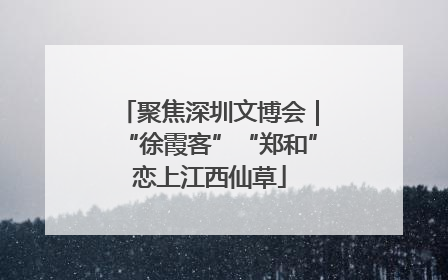聚焦深圳文博会｜“徐霞客”“郑和”恋上江西仙草