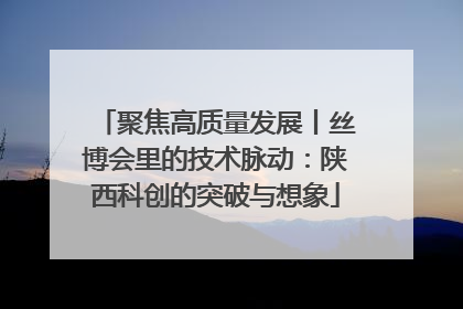 聚焦高质量发展丨丝博会里的技术脉动：陕西科创的突破与想象