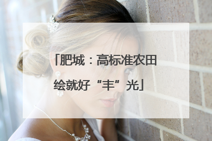 肥城：高标准农田绘就好“丰”光