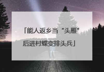 能人返乡当“头雁” 后进村蝶变排头兵