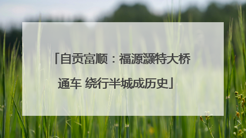 自贡富顺：福源灏特大桥通车 绕行半城成历史