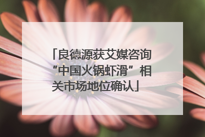 良德源获艾媒咨询“中国火锅虾滑”相关市场地位确认