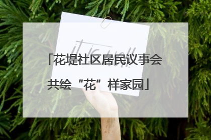 花堤社区居民议事会共绘“花”样家园