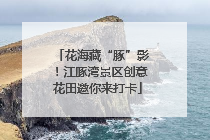 花海藏“豚”影！江豚湾景区创意花田邀你来打卡