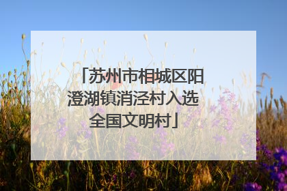 苏州市相城区阳澄湖镇消泾村入选全国文明村