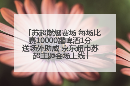 苏超燃爆赛场 每场比赛10000罐啤酒1分送场外助威 京东超市苏超主题会场上线