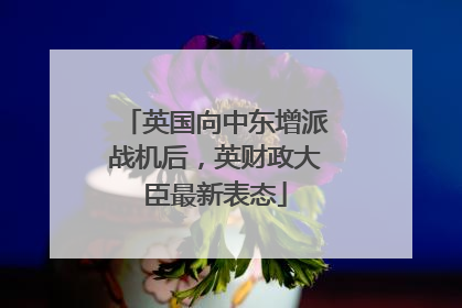 英国向中东增派战机后，英财政大臣最新表态