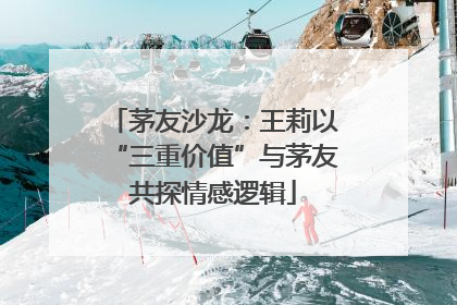 茅友沙龙：王莉以“三重价值”与茅友共探情感逻辑