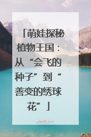 萌娃探秘植物王国：从“会飞的种子”到“善变的绣球花”