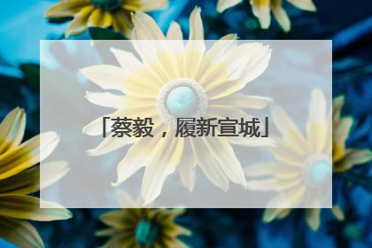 蔡毅，履新宣城