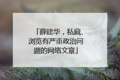 薛建华，私藏、浏览有严重政治问题的网络文章