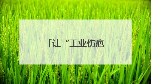 让“工业伤疤”长出春天——辽宁加快废弃矿山治理观察