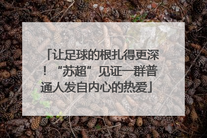 让足球的根扎得更深！“苏超”见证一群普通人发自内心的热爱