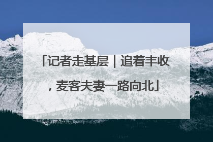 记者走基层｜追着丰收，麦客夫妻一路向北