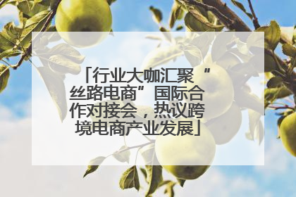 行业大咖汇聚“丝路电商”国际合作对接会，热议跨境电商产业发展