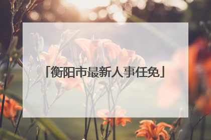 衡阳市最新人事任免