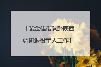 裴金佳带队赴陕西调研退役军人工作